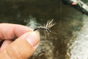 Sakasa kebari, japoniško stiliaus muselė