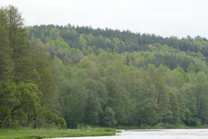 Neries baseino tyrinėtojas