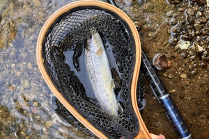 Neries baseino tyrinėtojas