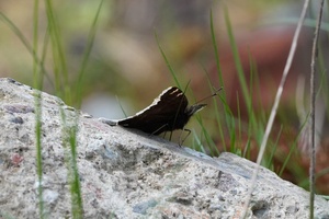 Kiekvienas išbandymas daro mus stipresniais