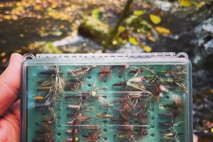 Kažkurių metų tenkaros muselių dėžutė