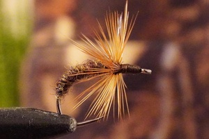 Futsu kebari, japoniško stiliaus muselė