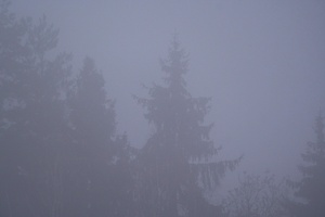 Lyg sapnuočiau, kad pabundu